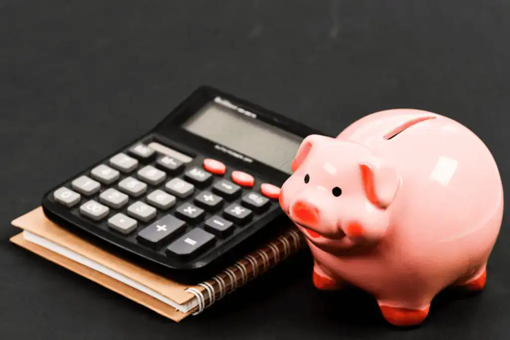 Debt Management Advisor Sydney