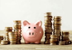 Wealth Management Advisor