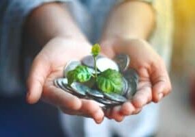 Grow wealth